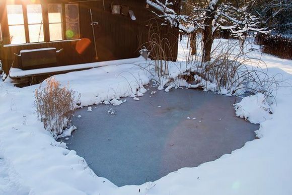 Gartenteich im Winter